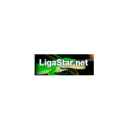 Liga Star Net